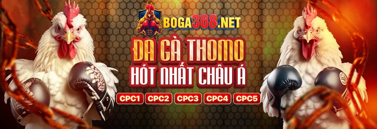 Tin tức và ưu đãi mới nhất từ best88 login