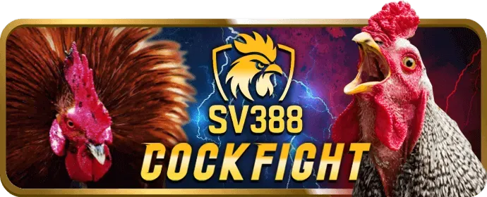 Cá cược có trách nhiệm tại best88 login